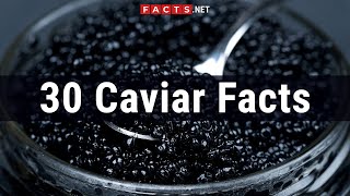 30 Caviar Facts About The Roe From The Sturgeon Beluga [upl. by Topping63]