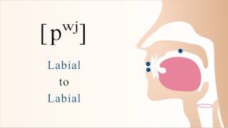 pʷʲ  unvoiced unaspirated labialized palatalized bilabial stop [upl. by Ennoira480]