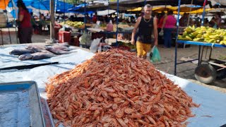 O NORDESTE TEM AS MELHORES FEIRAS COM CULTURA E TRADIÃ‡Ã•ES VEJA ISSO NA FEIRA DE RIACHO DAS ALMASPE [upl. by Eitsyrc]