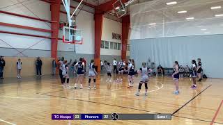 TC Hoops 2029 vs Phenom 2nd quarter [upl. by Palocz]