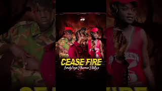 Cease FireMbogi GenjeSmadytings X Guzman X Natty P [upl. by Llenil]