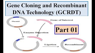 Gene cloning and Recombinant DNA technology DCRDT Introduction [upl. by Stevie892]