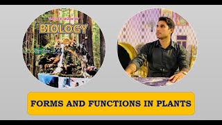 Class 11th  Forms And Functions In Plant  Lecture 13  Transport In Plants  Imbibition [upl. by Fifine]