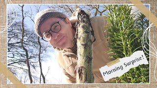 Garden Diary Embarrassing Echium amp Spring Plants [upl. by Leinod]