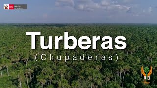 Viva el bosque  Turberas [upl. by Crean63]