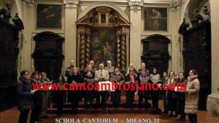 JESU REX ADMIRABILIS Palestrina Schola Cantorum G Vianini Milano It [upl. by Briney]