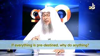 If everything is Predestined why do anything  Sheikh Assim Al Hakeem [upl. by Akenna]