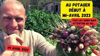 Que faire au potager miavril 🤔 potager avril2023 [upl. by Louisa140]