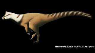 Sounds of Herrerasaurus ischigualastensis [upl. by Niamrahc]