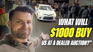 There are SO MANY CHEAP CARS at this Dealer Auction in Florida [upl. by Dniren744]