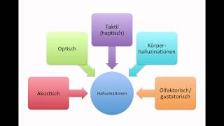 Lernvideo 5 Wahrnehmungsstörungen und Sinnestäuschungen [upl. by Millisent]