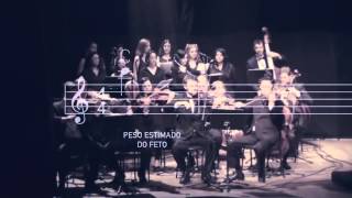 JOHNSONS® baby apresenta A sinfonia da Vida [upl. by Helfant407]