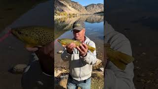 This Is What I Used To Catch Browns At Georgetown Lake In Georgetown Colorado This Weekend fish [upl. by Rowena]