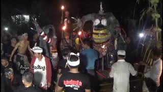 SAMBUT NYEPI TAHUN SAKA 1941 RIBUAN WARGA SELUMA TUMPAH RUAH ARAK OGOH OGOH [upl. by Knah]