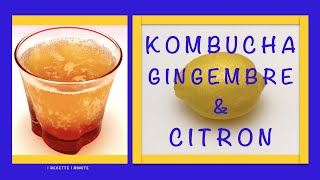 Kombucha Gingembre et Citron  Recette Maison Boisson Rafraîchissante amp Santé [upl. by Malachi63]