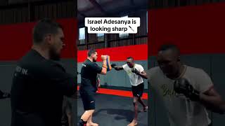 Izzy in the gym 👀 UFC305 via freestylebenderTT [upl. by Milo]