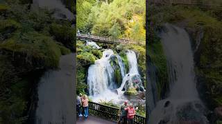 Black Forest  Triberg Waterfalls germany travel shorts [upl. by Atiuqet581]