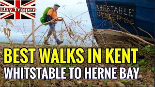 Best Walks in Kent  Saxon Shore Way Whitstable to Herne Bay and Reculver Day Tripper Vlog 45 [upl. by Evie810]