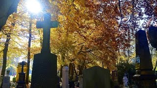 2015 11 01 Allerheiligen München Ostfriedhof [upl. by Bringhurst926]