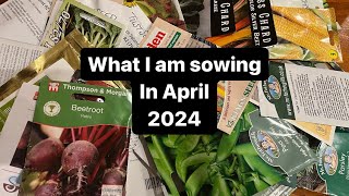 What I am sowing in April for the Allotment and Kitchen Garden [upl. by Naihr]