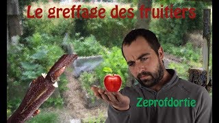 Comment faire du greffage de fruitiers facilement  greffagedefruitiers [upl. by Wanyen]