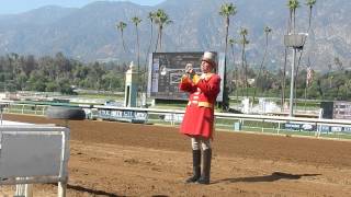 Horse Racing Horn  Bugle Call at Santa Anita Park October 2014 [upl. by Kara-Lynn396]