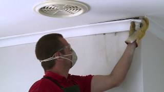 How To Remove Cornice  DIY At Bunnings [upl. by Latsyrcal790]