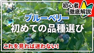 【知って得する】ブルーベリーの系統や品種を選ぶ際のポイント [upl. by Maison]