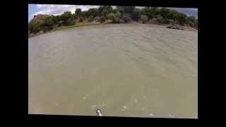 16lbs largemouth yellowfish on fly [upl. by Colan]