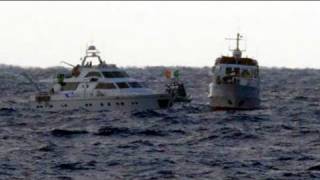 Une nouvelle flottille humanitaire vers Gaza stoppée par la marine israélienne [upl. by Crelin922]