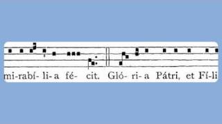 Puer Natus Est Nobis Christmas Day Introit [upl. by Jacinthe]