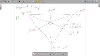 ECG Theory Leads Einthoven Wilsons Central Terminal Placement [upl. by Naols176]