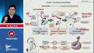 Leche y lactancia materna PEDIATRÍA Índice en descripción ENAM QXMEDIC 2023 [upl. by Suirauqram964]