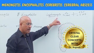 Difference Between Meningitis  Encephalitis  Cerebritis  Cerebral Abscess🩺 [upl. by Tapes]