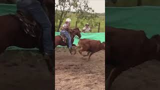 COLORITO shortvideo caballos vaqueros horse caballoscorriendo cowboys rodeo [upl. by Ecitnirp]