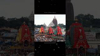 Age Age Balia Pache Pache Kalia New Odia Rath Yatra Status odisha jagannath shorts [upl. by Awe]