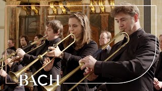 Bach  Sinfonia from Cantata BWV 29  Netherlands Bach Society [upl. by Dielu980]