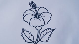 How to draw a Hibiscus flower step by step  easy outline drawing tutorial [upl. by Worthy]