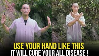 quotThis Exercise Will Heal You Completely From Insidequot  Qigong Technique  Master Shi Heng Yi [upl. by Brunn488]