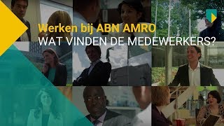 Wat vinden de medewerkers van werken bij ABN AMRO [upl. by Aicercul]