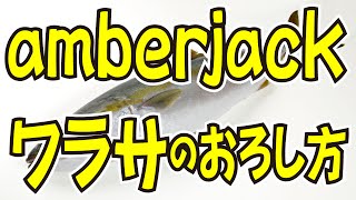 ワラサ（ブリの子供） How to prepre amberjack [upl. by Cade]