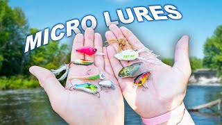 Fishing ONLY MICRO Lures Until I Catch a Big Fish [upl. by Forest]