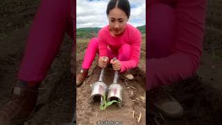 Satisfying Seedlings Planting Tools for Rural Farmer  Helpful Agricultural Tools shorts ytshorts [upl. by Olocin]