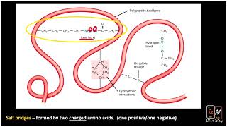 Side chain interactions and amino acids  Real Chemistry [upl. by Adur209]