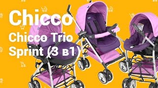 Chicco Trio Sprint 3 в 1 универсальная коляска видео отзыв [upl. by Husch]