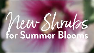 New Shrubs for Summer Blooms  2021 [upl. by Anileda860]