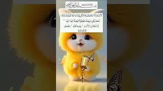 Chautha Kalma Tohid by cat recite cutecat Shorts tilawat ytshorts surah tohid kalma [upl. by Penland33]