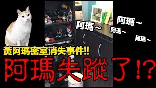 【黃阿瑪的後宮生活】阿瑪失蹤了？密室消失事件！ [upl. by Marshal392]