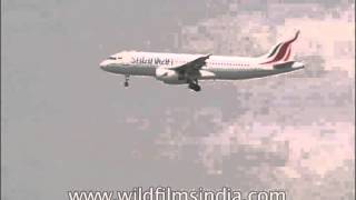 Sri Lankan Airlines Limited aircraft lands at IGI Airstrip Delhi [upl. by Rexanna]