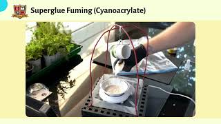 Cyanoacrylate Fuming  Fingerprint Development Method [upl. by Baptista507]